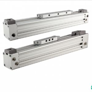 Rodless Cylinders - S1,S2